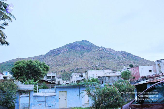 20060821 Photo 2 1F17UecnVnOjPngmHHU1IXl-ok zWrE8V.jpg