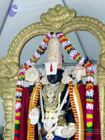 20060827 IMG 0051 CMP WM01.jpg