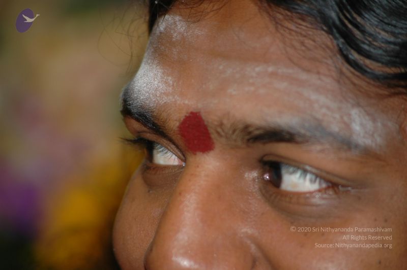 File:20060827 Photo 1024 1wLkis0AJtksHTpZSkrRxCAr--bBF1KVz.JPG