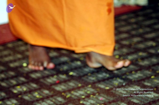 20060827 Picture 196 CMP WM01.jpg