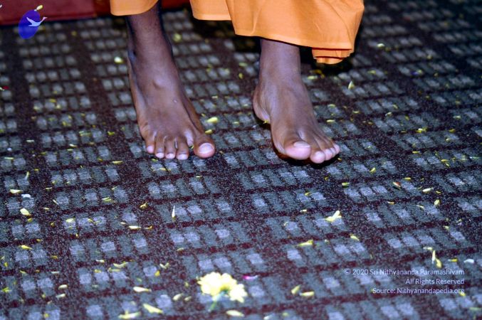 20060827 Picture 198 CMP WM01.jpg