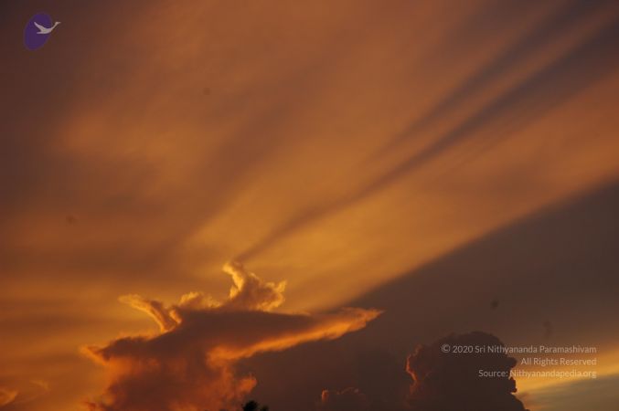 20060903 Photo 1000 1aGAYXISi1LPpEtd16ZK0nlkM0JlKIQsT.JPG