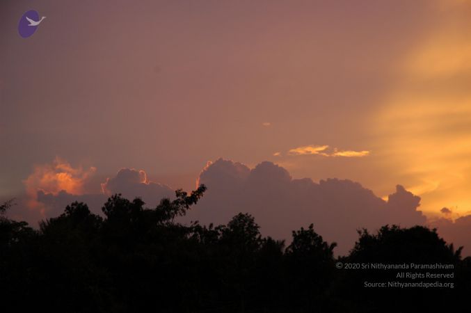 20060903 Photo 1004 1hByXmXlSpQv5uSuWEaCffwo20aECCl8n.JPG