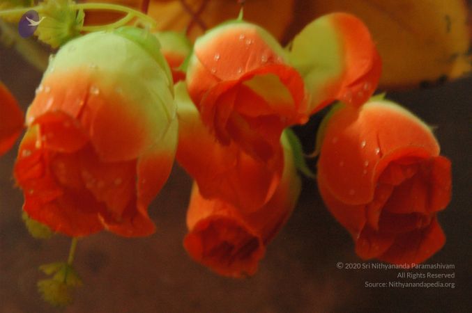 20060903 Photo 1036 1eWyb2IlxInIa377SW9sy9XaPefnrd88T.JPG