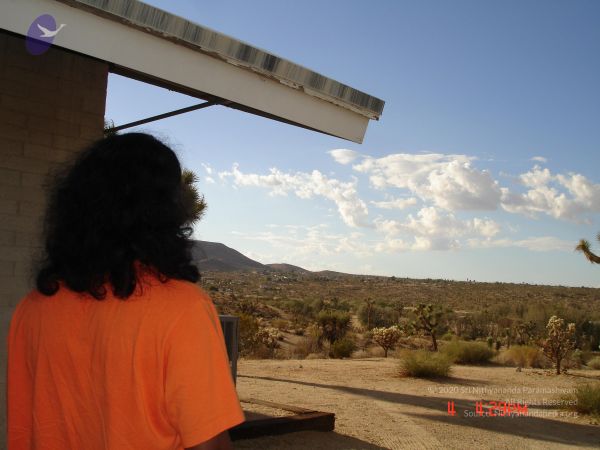 20060904 Photo 1026 13zxt T9NOjXrzgNtTQbS5YOR4nYFfIpk.JPG