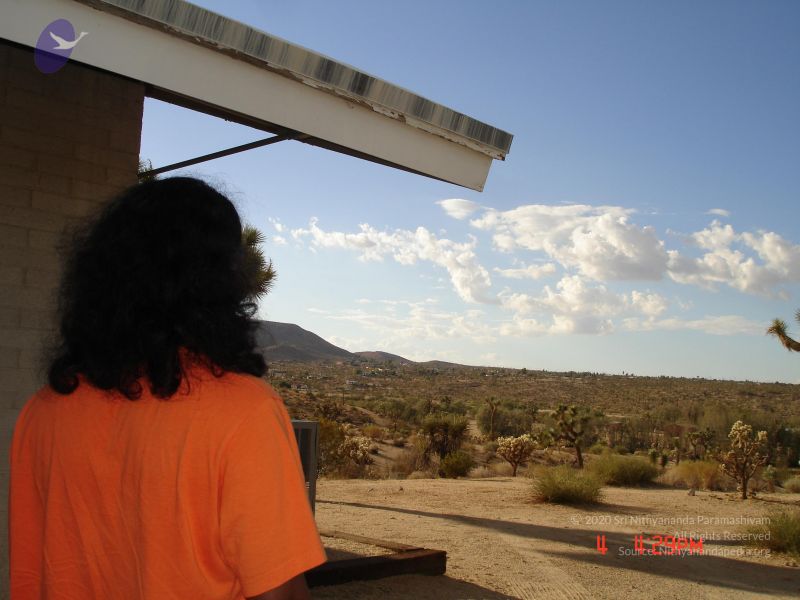 File:20060904 Photo 1026 13zxt T9NOjXrzgNtTQbS5YOR4nYFfIpk.JPG