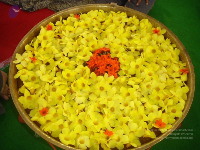 File:20060909 Photo 1003 13xNEZIJodLD3lrMZ2Dy9Rc9UjUUPJetU.JPG