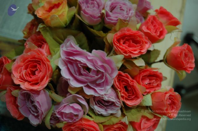 20060917 Photo 1691 1GtquS4VdxKnxF3Eh6TVRqo0 -CWqDxaq.JPG