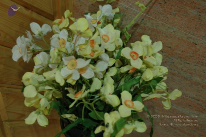 20060917 Photo 1692 1Bs5VBPaLkiFguEtgp-dv0lEg1Ip6rPCb.JPG