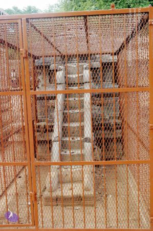 20060918DSC 0219 CMP WM1111.jpg