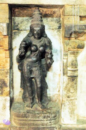 20060918DSC 0249 CMP WM1111.jpg