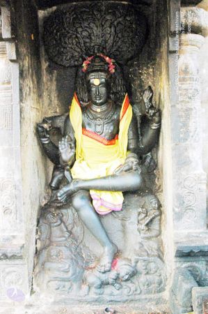 20060918DSC 0297 CMP WM1111.jpg