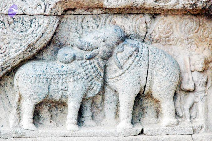 20060918DSC 0342 CMP WM1111.jpg