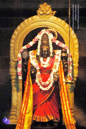 20060918DSC 0385 CMP WM1111.jpg