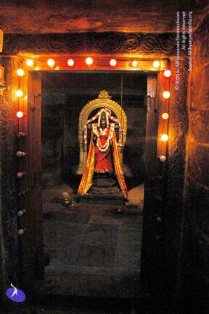 20060918DSC 0386 CMP WM1111.jpg