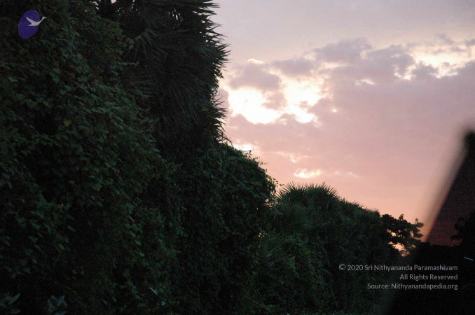 20060918DSC 0428 CMP WM1111.jpg