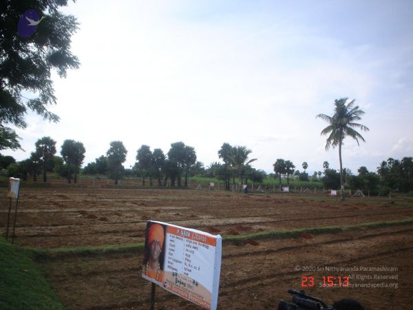 20060923 Photo 1145 1al-hgULvwr2HGyQ FEfCNPkS7XIyDgMj.JPG