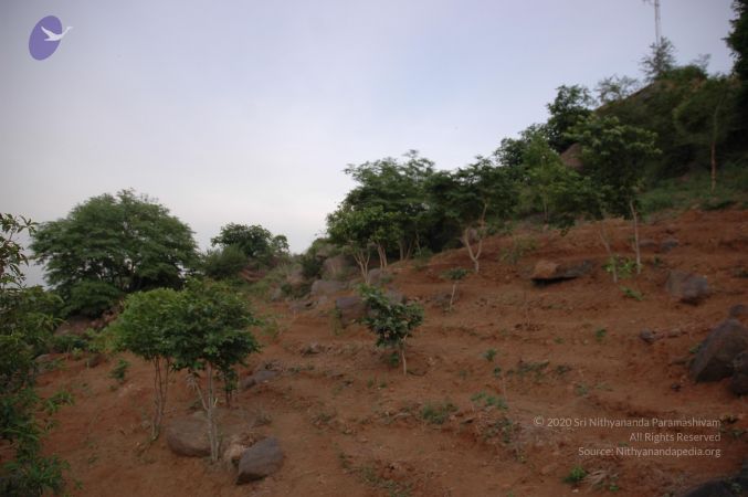 20060923 Photo 1258 1Glr7rZFriG54M03dYlAPgYSSfVQCqS6I.JPG