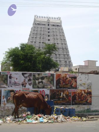 20060923 Photo 1308 1dmCmgDhUwUuA02lh3ZjqlZ2ndfvJFPkc.JPG