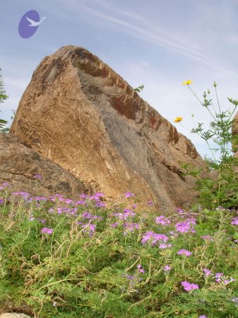 20060923 Photo 1347 1pQ0G6PAY6OoCsz91NTEV1o3BxImkExo6.JPG