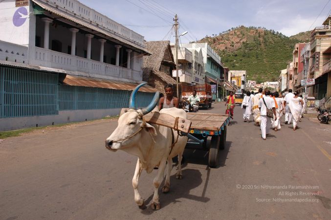 20060923 Photo 1407 1NIXdvcQG 2AMz-tOBrpcOAvAuKQ11TLZ.JPG