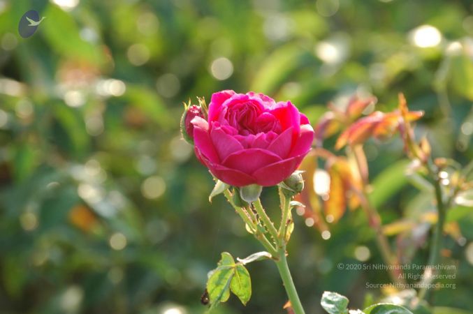 20060926 Photo 1109 1vGEtDn yGPtSsixW3toE23nY9Vvyr8tX.JPG