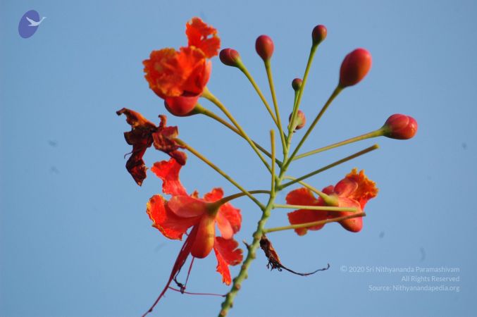 20060926 Photo 1110 1V9wZ1Fmy8emt3W-5rNNeh3U2lmhOpsoB.JPG