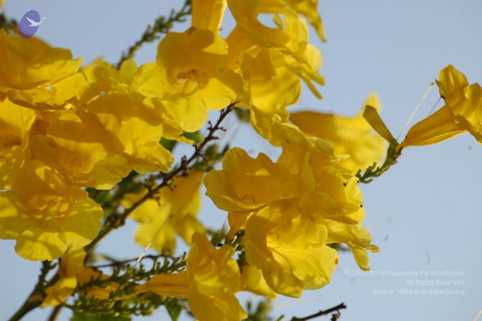 20060926 Photo 1112 1eXjr0nS5diWKHGupTdRgxJv8QGUWtGDe.JPG