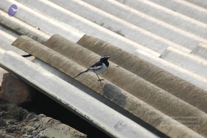 20060926 Photo 1115 1V33g8X5wT4pm3Y3C-TYXdBWTvbHF4UXM.JPG