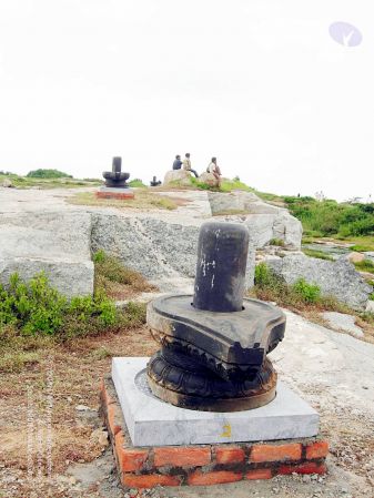 20061001 DSCN0053 CMP WM1.jpg