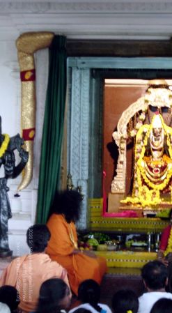 20061001 DSCN0156 CMP WM1.jpg