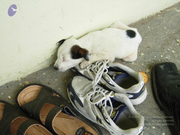 20061001 Photo 1088 185nHkbyAAA c7SaU FoI0NjaQlgSMeRt.JPG