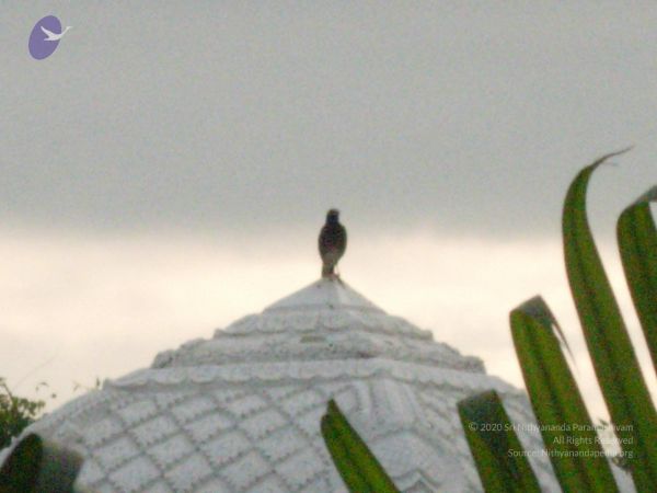 20061001 Photo 1107 1j5mGPbONCK-IMxdj4FF9pbl4U0v5t5YX.JPG