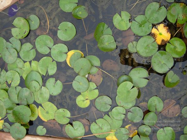 20061001 Photo 1116 1W5ka55jPpMPtE5TtsaG3x-zAiY9z9Ue8.JPG