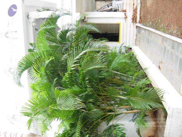 20061001 Photo 1118 1WJ-BXEyH8RRdcAJlsDZ Uv2cKTYabqpr.JPG