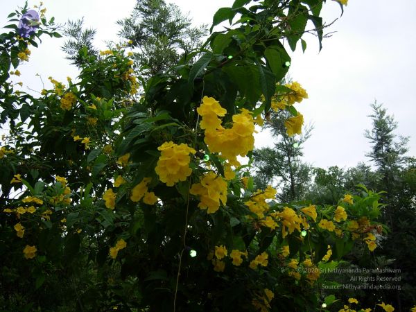 20061001 Photo 1122 1X2iUuY22r-umXEX2bcwwsQQw6ILzuIuq.JPG