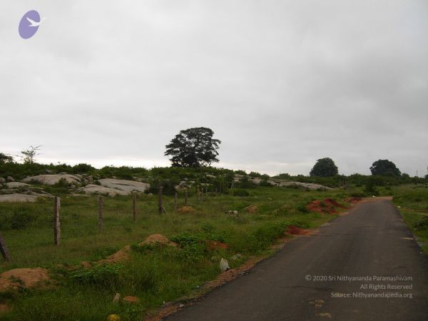 20061001 Photo 1124 1OlZp0mDKPSJwBRZtXC86RJDT ZaCFNEZ.JPG