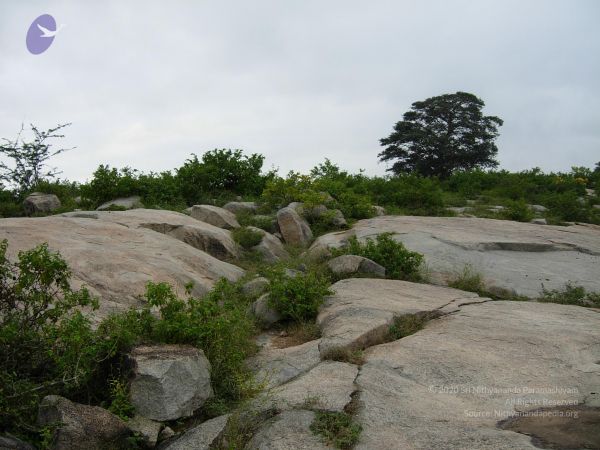 20061001 Photo 1130 1iPymIc DNqY zBSFAA2svVO9M9y-zphQ.JPG