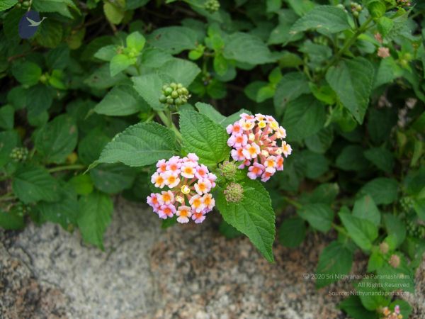 20061001 Photo 1135 1nEn2dwWlRGSKng yk3-ip6LHFdxJb-Hr.JPG