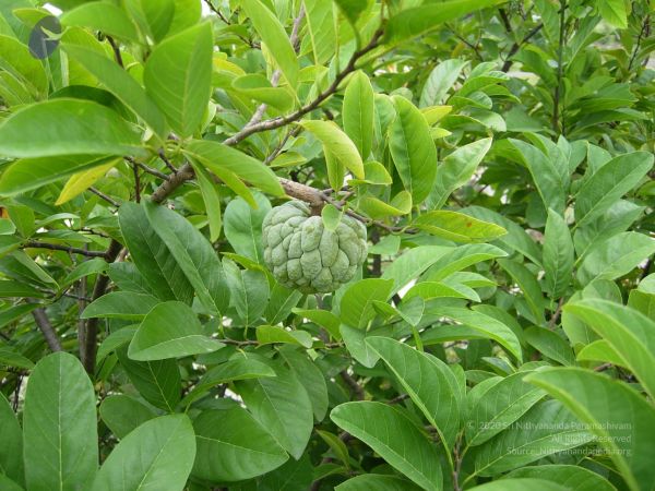 20061001 Photo 1138 1t1McMnRsqoxt7Lj5kMSG7DFRP24x97Wx.JPG