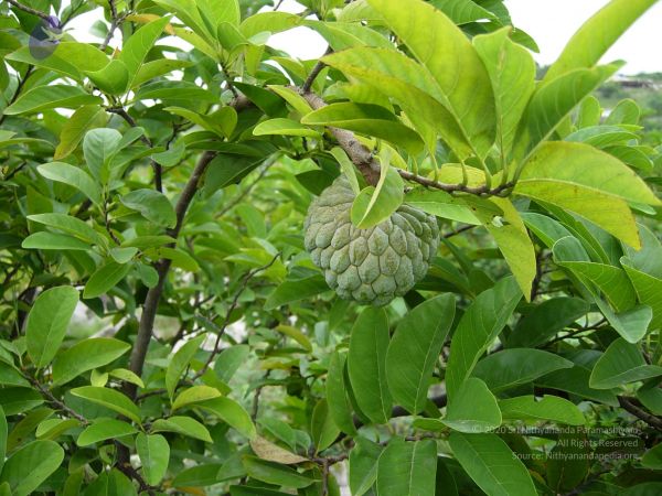 20061001 Photo 1139 1Ffp8BP5zwOrhH4AeXc-f3975S irqTSu.JPG