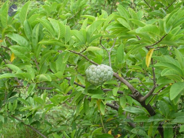 20061001 Photo 1140 1GlSQn6BQCxdMOUUECIeLx6VH-gDVDRsW.JPG