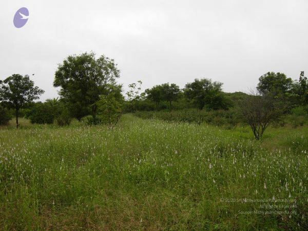 20061001 Photo 1142 1b1VlPHHlz-flCPua2wstOWgiQF4TxqMY.JPG