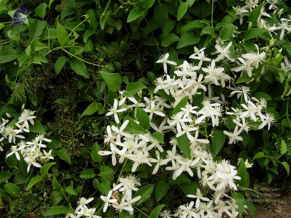 20061001 Photo 1143 15Chp2kxuWUGgSX9gY3t3x3-VqjYsacrq.JPG