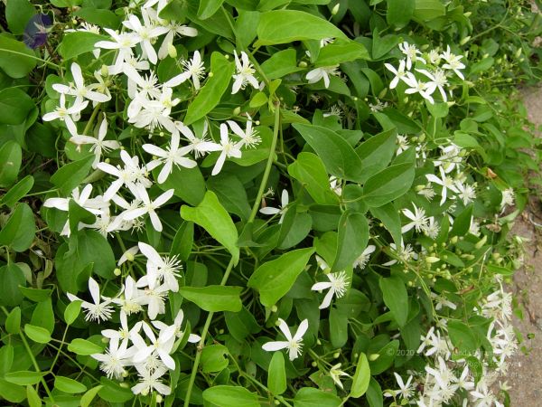 20061001 Photo 1144 1-819G2nWgHvqx3O2fp AfxXeXzaHUtYV.JPG