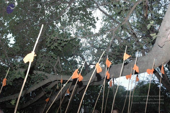 20061006 Photo 1007 1NR V5ZWxun3mE-v6GOp4NkaNuJ67c4Uy.JPG