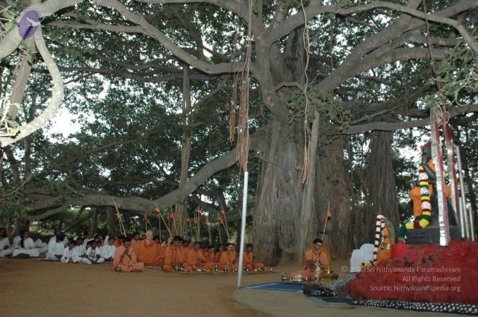 20061006 Photo 1014 1sYt1m-6RQ5OHjuhviPnpHlJ2mounsrAg.JPG