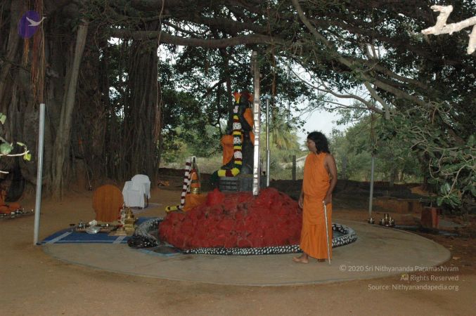 20061006 Photo 1029 1gPwUVGGQyhHvOH5YeQoLy3BInVt-jRYW.JPG