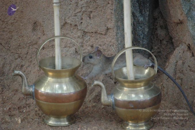 20061006 Photo 1039 1FjSk rY5TQSao8Yg0OW5xZu Q1q 0f27.JPG