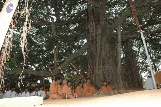 20061006 Photo 1045 1IbX9Y1jgb3iX-jW0w8f3xP8fyYoCxTyA.JPG